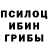 Галлюциногенные грибы Psilocybe cenvet99