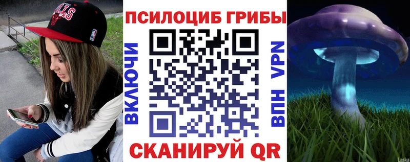 Псилоцибиновые грибы мицелий  Оса 