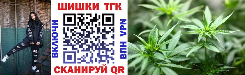 Бошки Шишки VHQ  Оса 